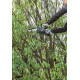 MAKITA UC029GZ01 Aku prořezávací pila 150 mm Li-ion XGT 40V,bez aku   Z